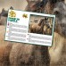лентикулярен 3д стерео пъзел 500 ел. Коне размер пъзел 46х61 размер кутия 31x21x5 cm лентикулярен 3д стерео пъзел 500 ел. Коне размер пъзел 46х61 размер кутия 31x21x5 cm